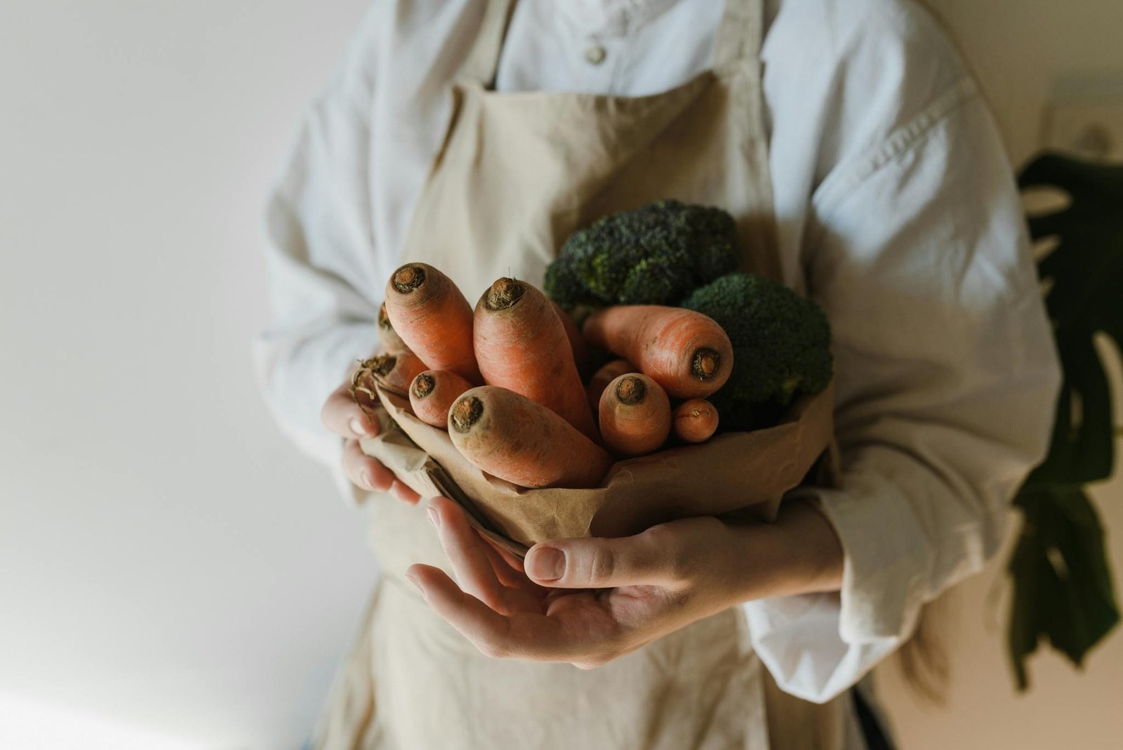 Person holding fresh carrots and broccoli. Perfect for healthy lifestyle themes.